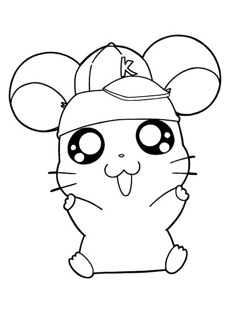 hamster colouring pages