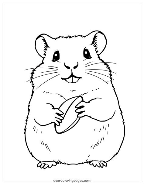 hamster pictures to colour