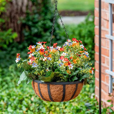 hanging basket plants outdoor