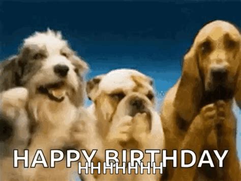happy birthday gif funny