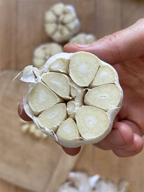 head of garlic halved crosswise