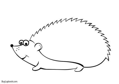 hedgehog colouring picture