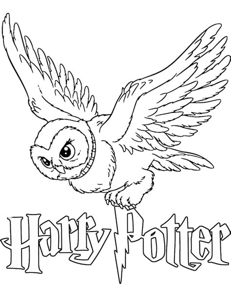 hedwig coloring pages