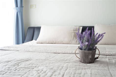 helpful bedtime plants