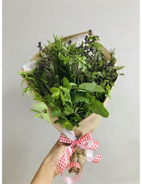 herb bouquet