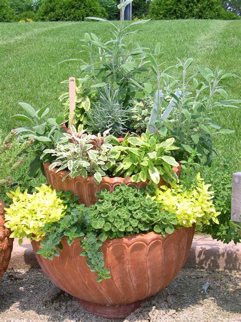 herb container garden