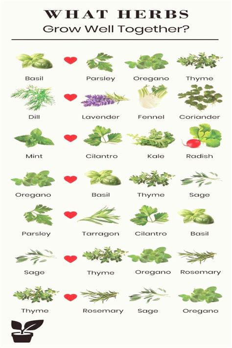 herb pairing chart planting