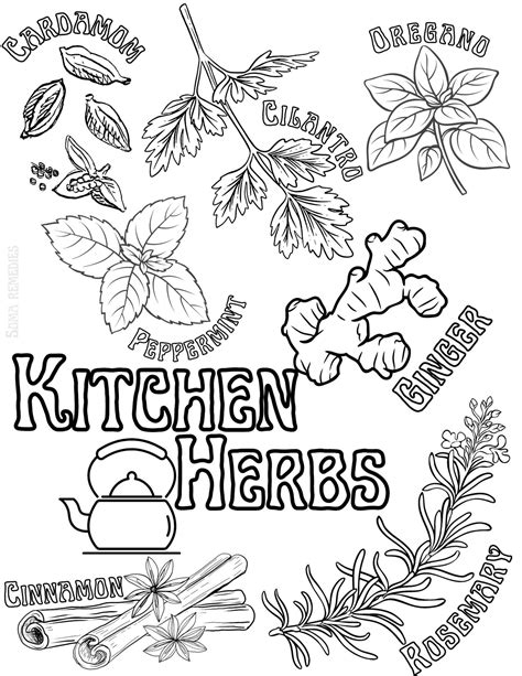 herbs coloring pages