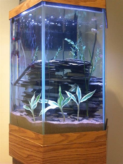 Hexagon fish tank visibility