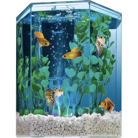 Hexagon Fish Tank Water Quality