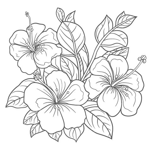 hibiscus coloring pictures