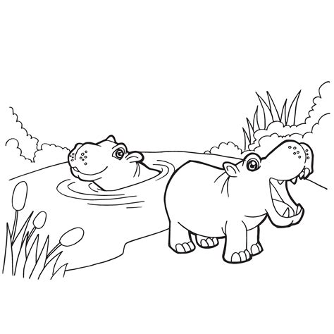 hippopotamus coloring pages