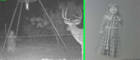 hoaxes and misidentified objects in ghost photos