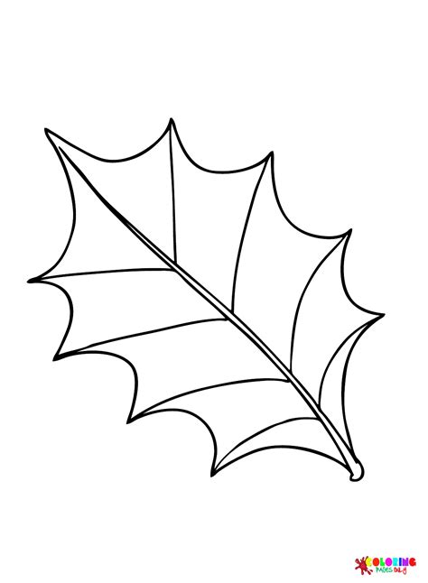 holly leaves coloring pages