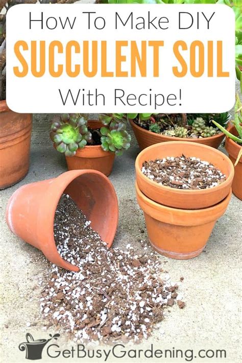 homemade succulent soil