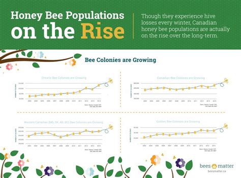 Honey Bee Population Chart