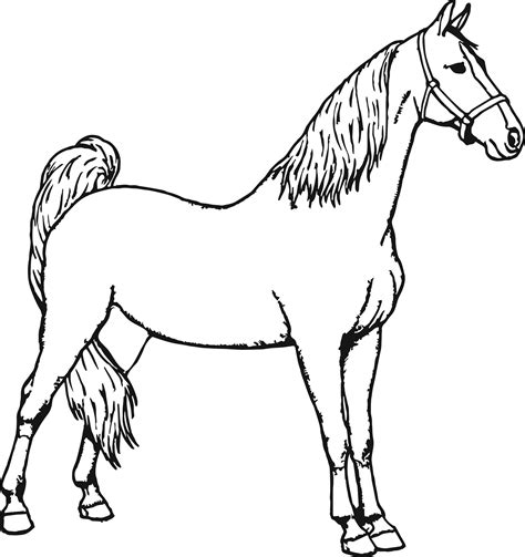 horse colouring pages to print