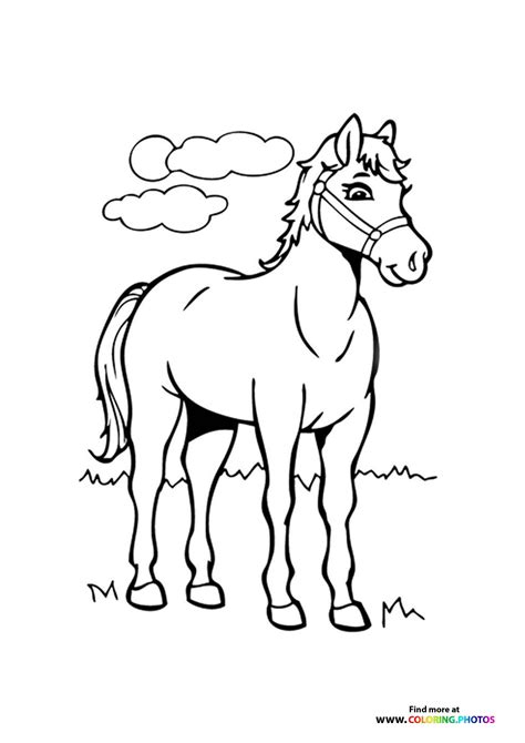 horse for coloring
