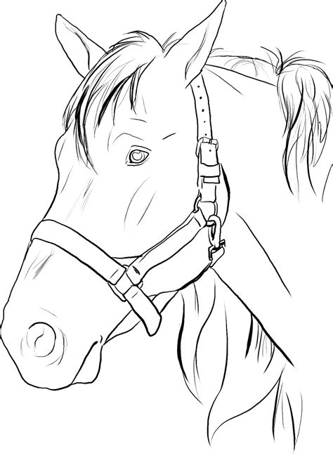 horse head colouring pages