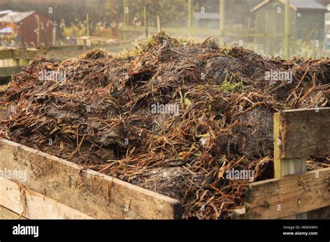 horse manure compost