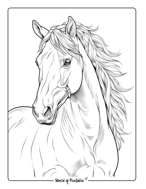 horse picture coloring page