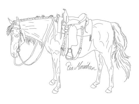 horse tack coloring pages