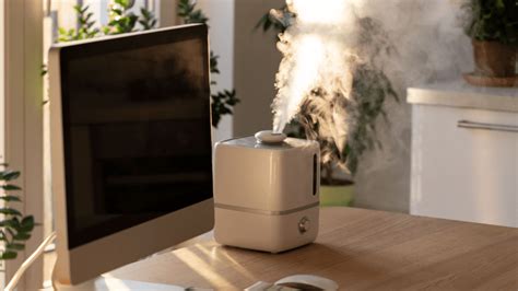 how long do humidifiers last