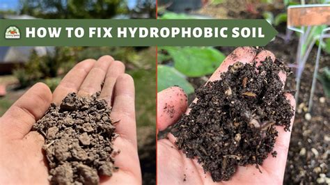 how to fix hydrophobic soil