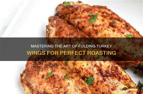 how to fold turkey wings
