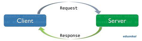 how to get request path with express req object
