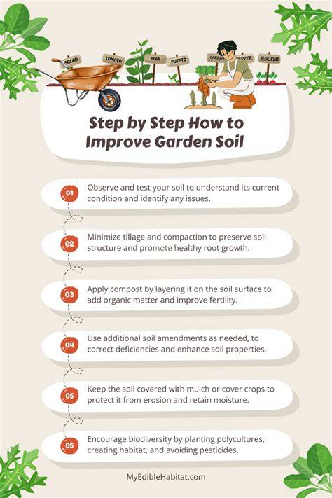 how to improve your soil