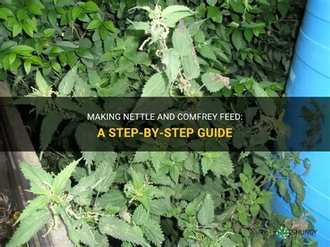how to make a nettle feed