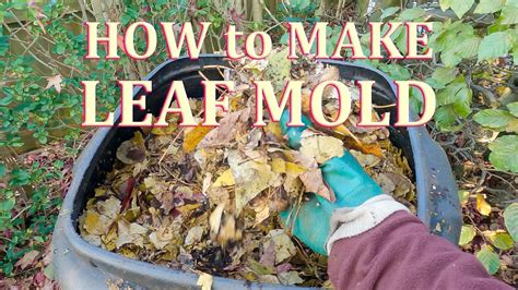 how to make leaf mould