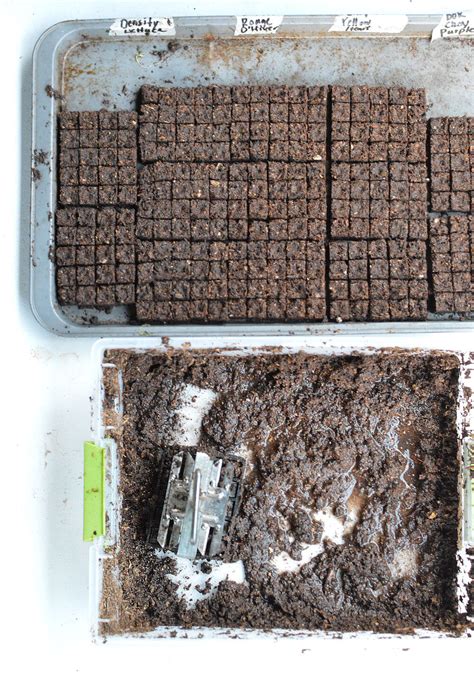 how to make soil blocks