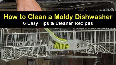 how to prevent mold in dishwasher