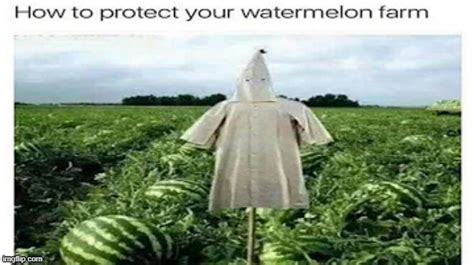 how to protect your watermelon farm