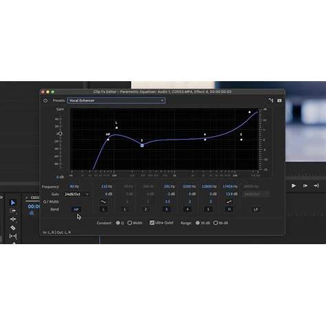 how to use premiere pro eq presets