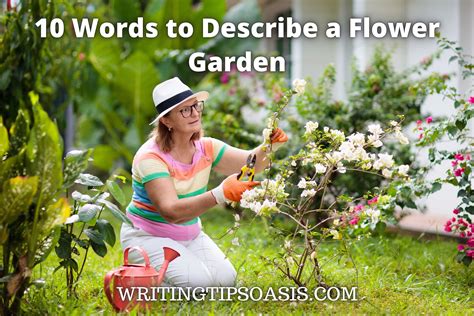 how to write a garden book