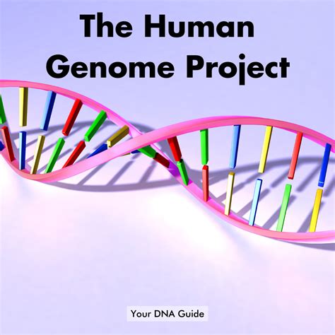 How Many Genes are Present in the Human Genome?