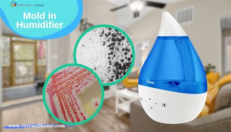 humidifier red mold
