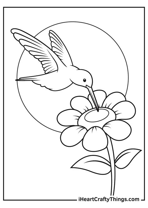 hummingbird coloring pages finished