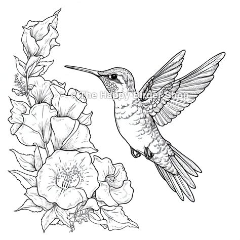 hummingbird coloring pages for adults