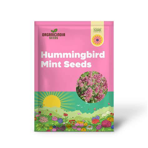 hummingbird mint seeds