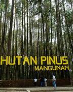 Hutan Pinus Mangunan, Dlingo