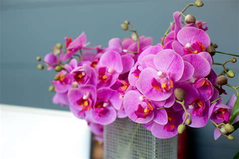 hydration flowers