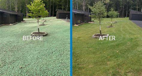 hydroseeding before and after