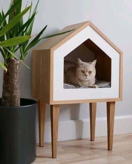 desain rumah kucing dari triplek