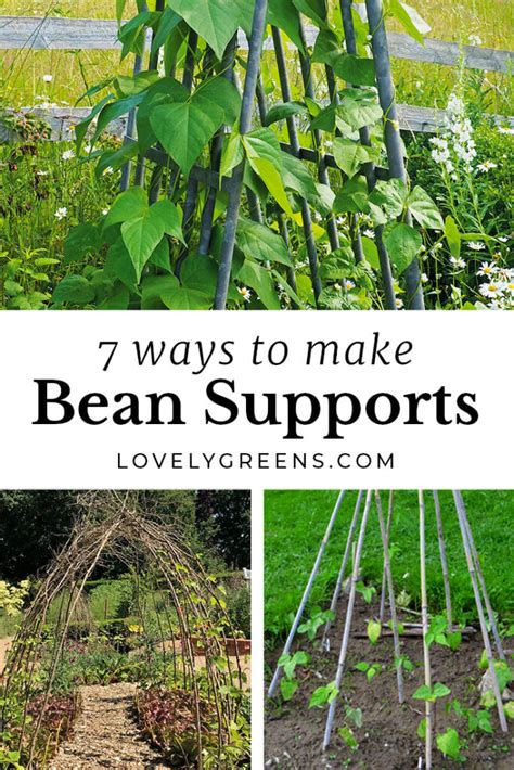 ideas for growing pole beans