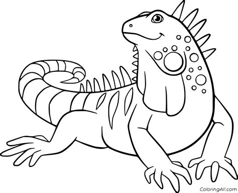 iguana coloring page