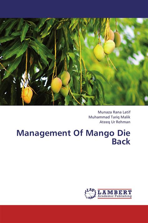 Importance of Mango Project Management